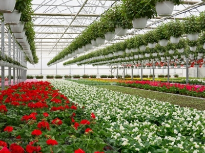 greenhouse