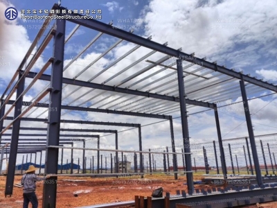 steel structure building